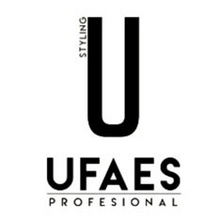 Cargar imagen en el visor de la galería, Laca Extrafuerte Profesional UFAES 400 ml